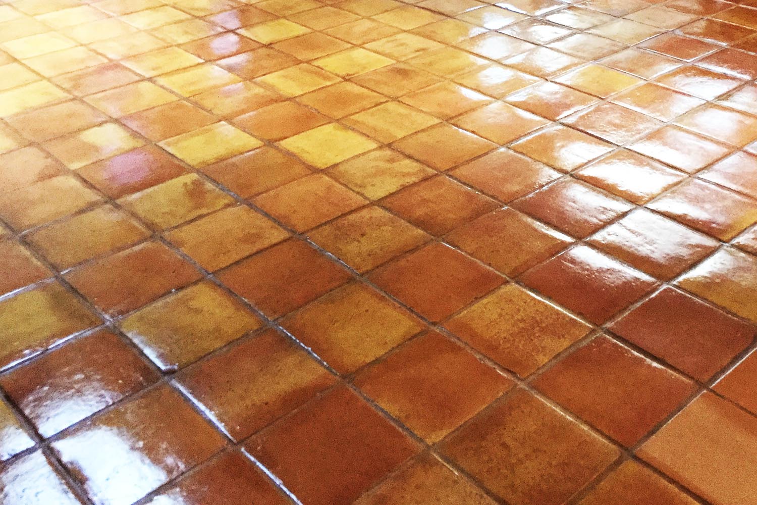 Mexican tile floors
